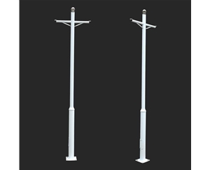 監(jiān)控桿-LB-04