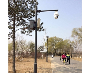 路燈監(jiān)控桿-LB-03